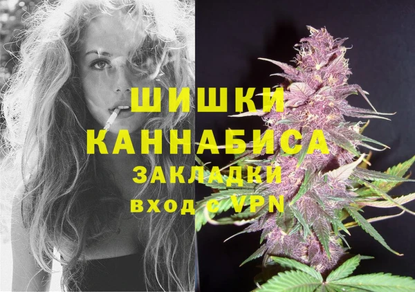 соль ск Семёнов